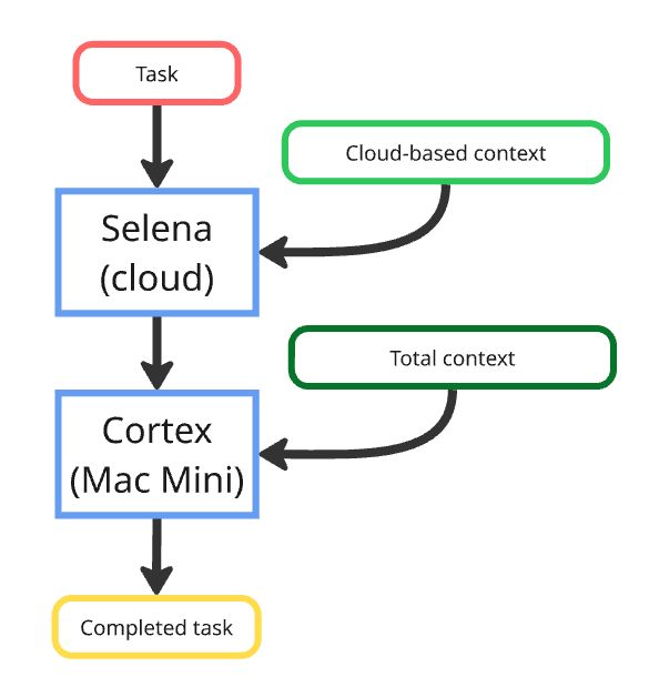 Cortex Mac Mini agent with Selina connection